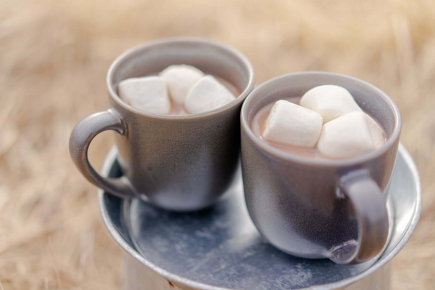 Our Collection of Hot Cocoas